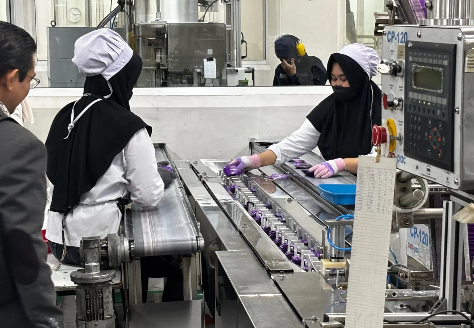 Pemkab Bangka Catat 28 TKA, Mayoritas Pekerja Lintas Wilayah