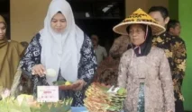 Pemkab Pringsewu Tegaskan Komitmen Wujudkan Daerah Ramah Lansia