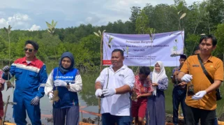 Peringati Hari Mangrove Sedunia, Pertamina EP Pangkalan Susu Tanam 2.500 Bibit Bakau untuk Lindungi Pesisir Langkat