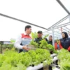 Pertamina DEB Perkuat Ekonomi Masyarakat Desa dari Energi Bersih-Peluang Usaha