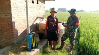 Petani di Magetan Antisipasi Serangan Wereng Meluas dengan Penyemprotan Insektisida