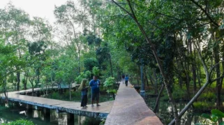 Polling kumparan: Hampir 40% Pembaca Tempuh Lebih dari 10 Km ke Hutan Kota Terdekat