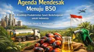 Program B50 Jadi Momentum Tingkatkan Produktivitas Sawit Nasional