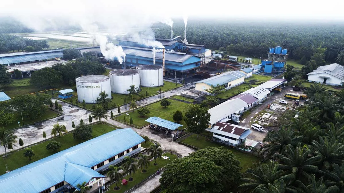Regulasi Baru Pengawasan Lingkungan Berlaku, Industri Sawit Hadapi Era Kepatuhan yang Lebih Ketat