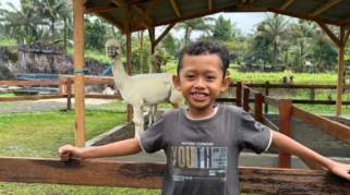 Serunya Berinteraksi Dengan Alpaca dan Hewan-Hewan Lucu di Ijen Farm House