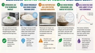 Simpan Nasi di Kulkas Bisa Lebih Sehat, Ini Penjelasan Ilmiahnya