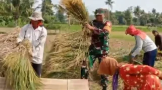 TNI Beri Pendampingan Petani untuk Perkuat Ketahanan Pangan di Situbondo
