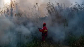 Upaya Pemadaman Kebakaran Lahan di Indralaya Utara Melibatkan Jalur Darat dan Udara