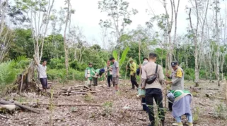 128 Pekebun Musi Rawas Digembleng Budidaya Sawit Modern, BPDP, Ditjenbun dan IPB Training Dorong Penerapan GAP di Lapangan