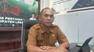 314 Hektare Sawah di Lebak Dihantam Kekeringan, Wilayah Kalanganyar Terparah