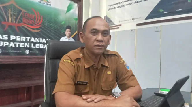 314 Hektare Sawah di Lebak Dihantam Kekeringan, Wilayah Kalanganyar Terparah