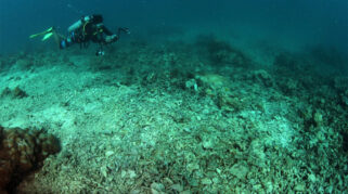 Ancaman Bom Ikan Menghancurkan Terumbu Karang di Laut Indonesia Setiap Jam