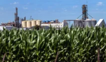 Argentina Tingkatkan Konsumsi Etanol dan Kurangi Ekspor Jagung untuk Transisi Energi