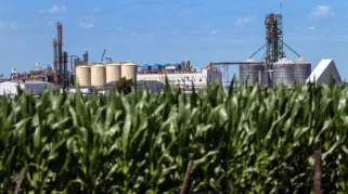 Argentina Tingkatkan Konsumsi Etanol dan Kurangi Ekspor Jagung untuk Transisi Energi