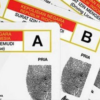 ASN Gugat Aturan Tanpa Masa Tenggang Perpanjangan SIM, Harus Mengurus SIM Baru Jika Terlambat