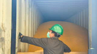 Barantin Gagalkan Penyelundupan 24 Ton Kedelai Diet Ilegal asal China