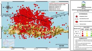 BMKG Prediksi Gempa Susulan di Flores NTT Terus Berlangsung Hingga Empat Pekan Mendatang