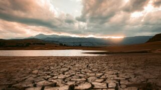 BMKG Waspadai El Nino Sangat Kuat, Kekeringan Ekstrem Melanda Jawa dan Nusa Tenggara