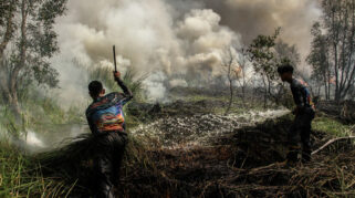 BNPB Imbau Warga Kalimantan Tengah dan Barat Gunakan Masker Hadapi Asap Karhutla