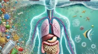Dampak Mikroplastik Polietilena pada Hati dan Peran Kolesterol dalam Kesehatan