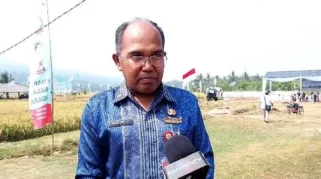 Distan Banten Waspadai Puso, Ratusan Hektare Sawah di Pandeglang Masih Terancam