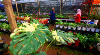 FLONA 2026 Hadirkan Keberagaman Biodiversitas Nusantara di Tengah Jakarta