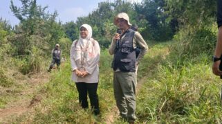 GRID Cardio Rush Tanam 1.500 Bibit Pohon di Gunung Gede Pangrango, Upaya Pelestarian Lingkungan yang Berdampak Positif