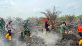 Gubernur Jambi Ajak Warga dan Ulama Salat Istisqa di Tengah Kebakaran Hutan Meluas