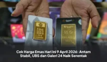Harga Emas Antam, Galeri 24, dan UBS Alami Kenaikan Signifikan Hari Ini