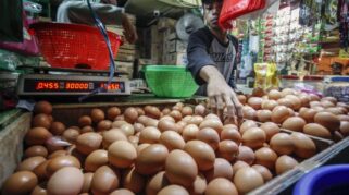Harga Pangan Nasional 19 Agustus 2026: Lonjakan Telur Ayam Ras, Daging Sapi, dan Cabai Rawit Merah