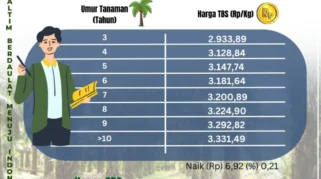 Harga TBS Sawit Kalteng