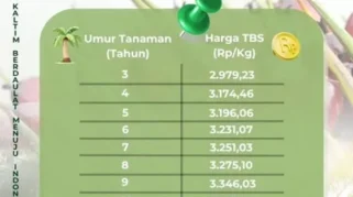 Harga TBS Sawit Kaltim Periode II-Juli 2026 Naik Rp. 50,56 per Kg