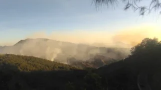 Hutan Gunung Bromo Terbakar, 3 Jalur Wisata Ditutup
