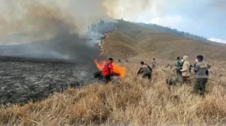 Kebakaran di Gunung Bromo Meluas, Akses Wisata Ditutup Sementara Demi Keselamatan