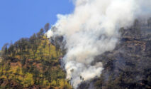 Kebakaran Gunung Bromo Meluas hingga 520 Hektare Akibat Angin Kencang