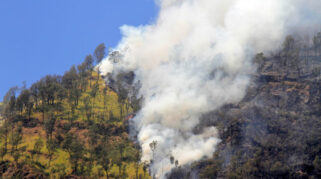 Kebakaran Gunung Bromo Meluas hingga 520 Hektare Akibat Angin Kencang