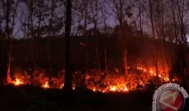Kebakaran Hutan di Gunung Bromo Meluas hingga 176 Hektare, Dua Helikopter dan Drone Dikerahkan untuk Pemadaman