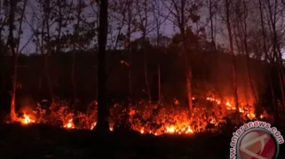 Kebakaran Hutan di Gunung Bromo Meluas hingga 176 Hektare, Dua Helikopter dan Drone Dikerahkan untuk Pemadaman