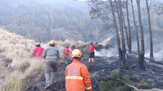 Kebakaran Lahan 921 Hektare di Bromo Terus Berlangsung, Cuaca dan Medan Sulit Hambat Pemadaman