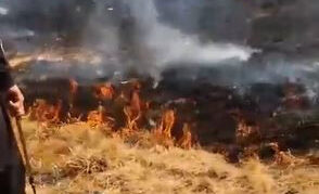 Kebakaran Lahan di Gunung Gede Pangrango Terus Meluas, Polisi dan Relawan Berjuang Padamkan Api