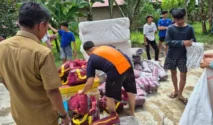 Kemensos Kirim Bantuan Logistik Korban Banjir dan Longsor di Kota Padang