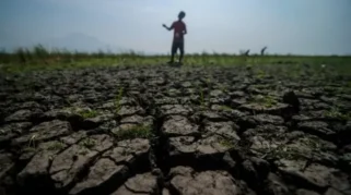 Ketika El Nino Menjadi Ujian Ketahanan Pangan Indonesia