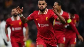 Michael Owen Kritik Performa Cody Gakpo dan Saran soal Transfer Liverpool Musim Panas 2026