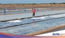Panen Raya Garam 2026 Meningkat, Harga Anjlok dan Strategi Penyerapan di Jawa Tengah