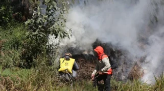 Pemadaman Kebakaran Hutan di Gunung Soputan Terkendala Medan dan Angin Kencang