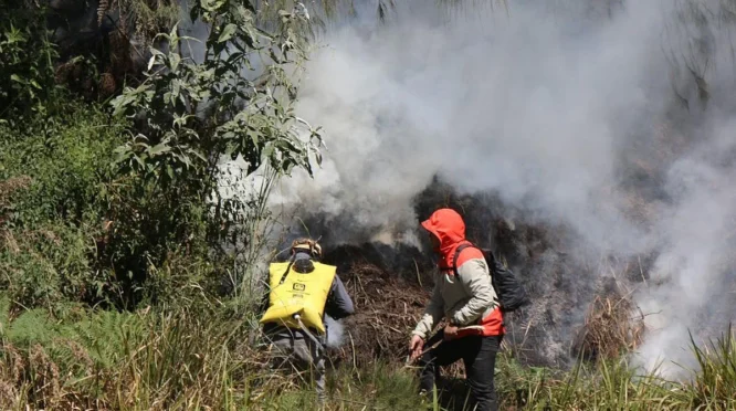 Pemadaman Kebakaran Hutan di Gunung Soputan Terkendala Medan dan Angin Kencang