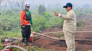 Pemerintah Perkuat Koordinasi Terpadu dalam Penanggulangan Kebakaran Hutan dan Lahan di Indonesia