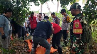 Penemuan Pria Tanpa Identitas Tewas Gantung di Pohon Danau OPI Palembang
