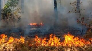 Peningkatan Titik Hotspot Karhutla di Sumatera Selatan Mencapai 449 pada Agustus 2026