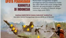 Penyebab Kebakaran Hutan Parah di Kalimantan Menurut Peneliti dan Kondisi Terbaru Karhutla 2026